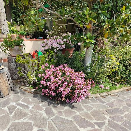 Il Diacciarello Appartement Gabbro Buitenkant foto