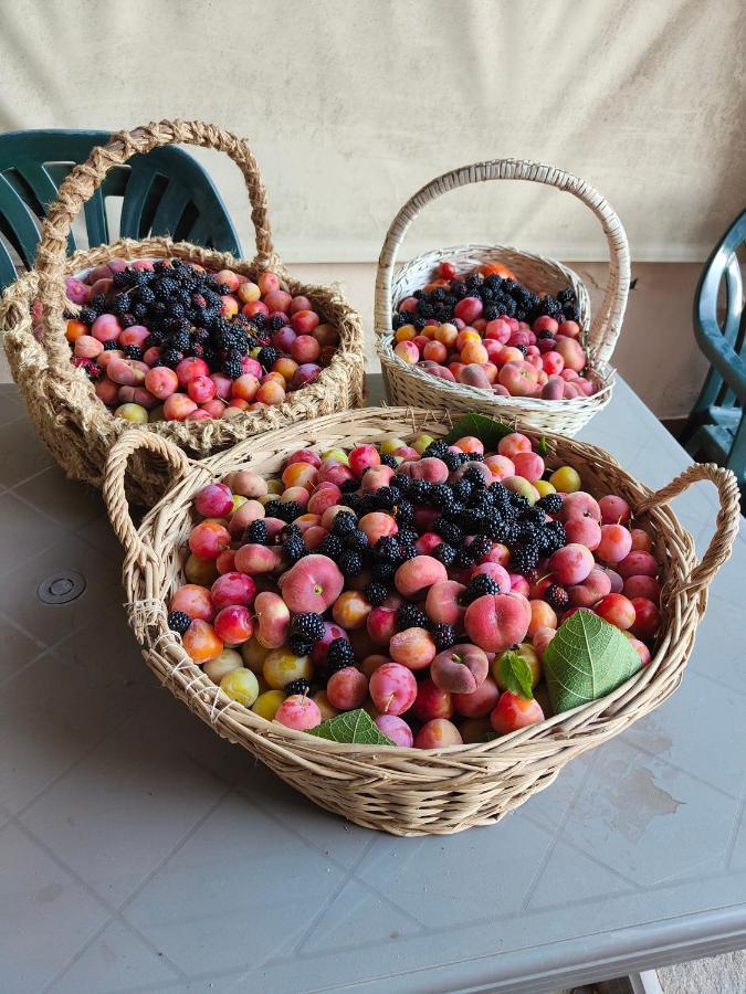Il Diacciarello Appartement Gabbro Buitenkant foto