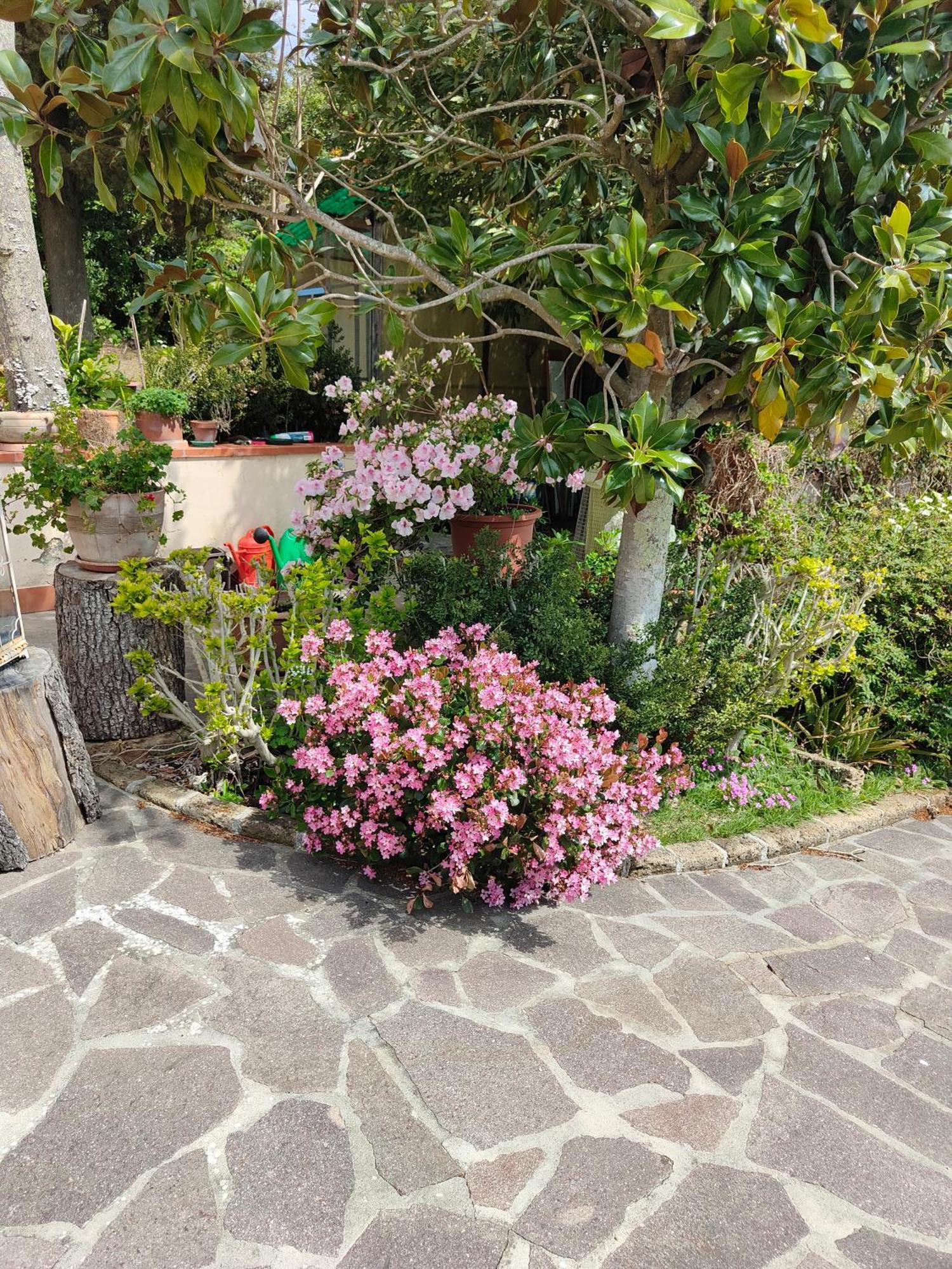Il Diacciarello Appartement Gabbro Buitenkant foto