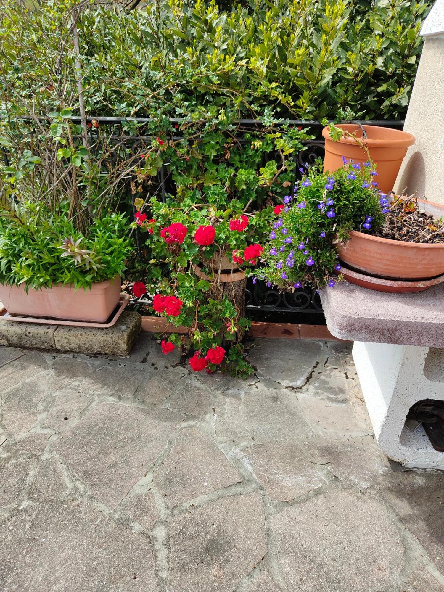 Il Diacciarello Appartement Gabbro Buitenkant foto