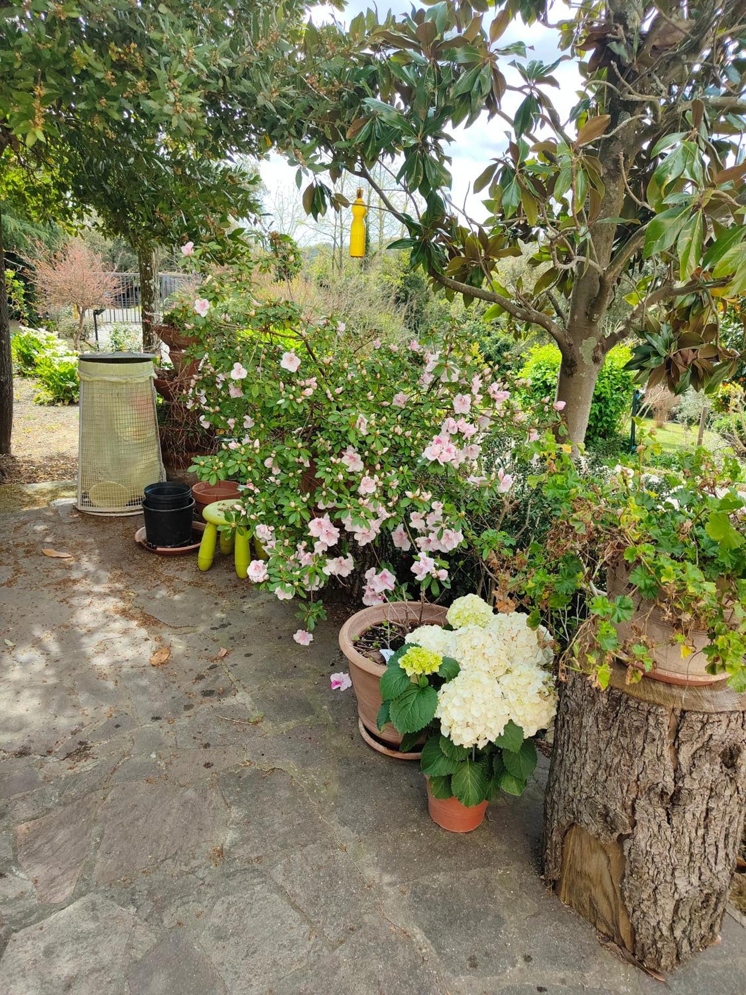 Il Diacciarello Appartement Gabbro Buitenkant foto