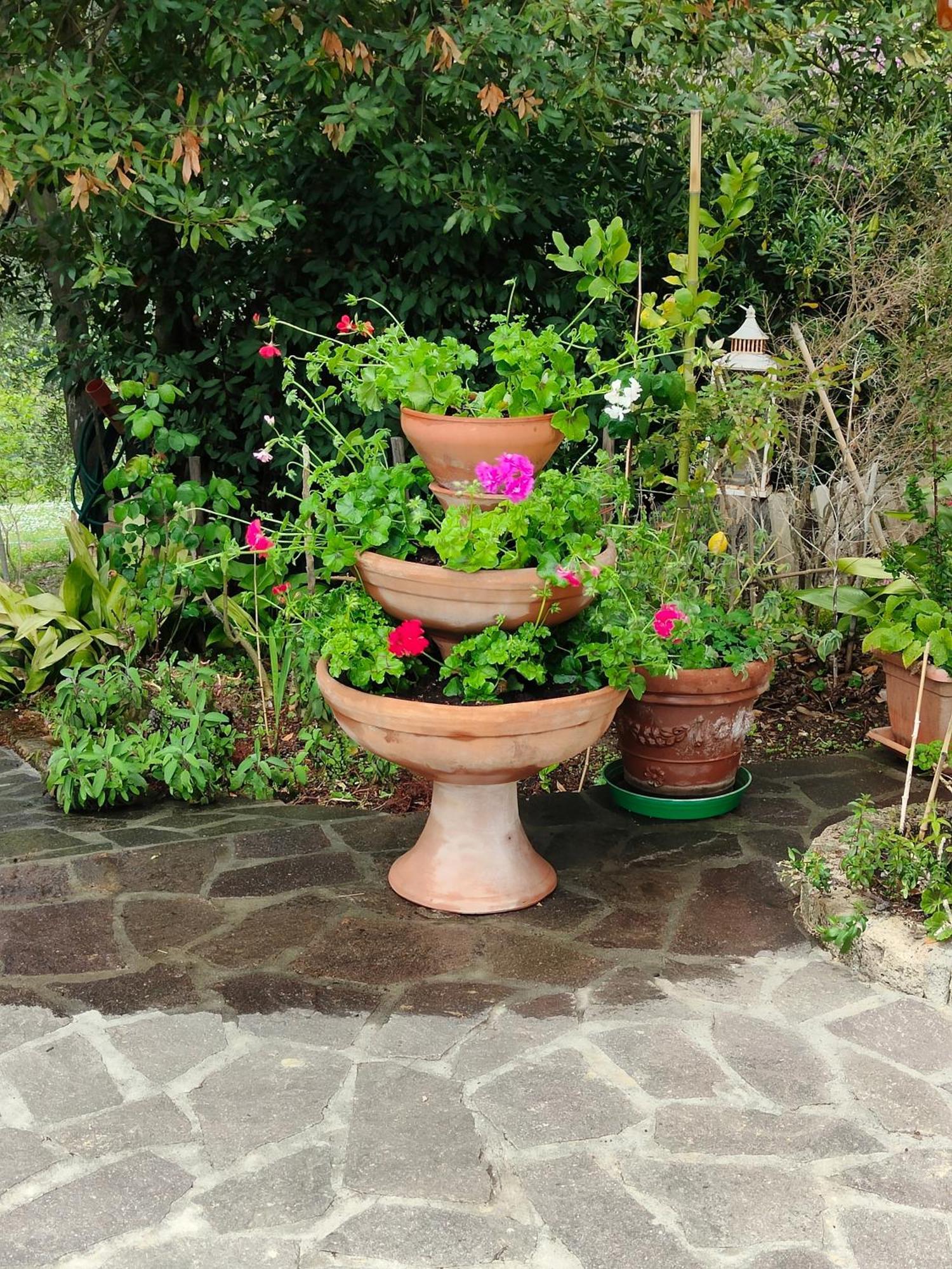 Il Diacciarello Appartement Gabbro Buitenkant foto